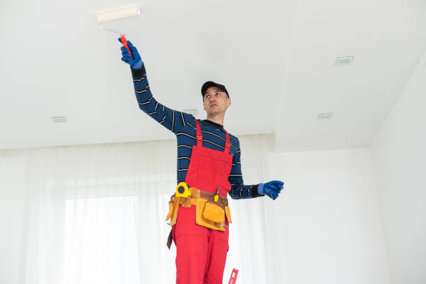  , USA Dry wall and painting Pros